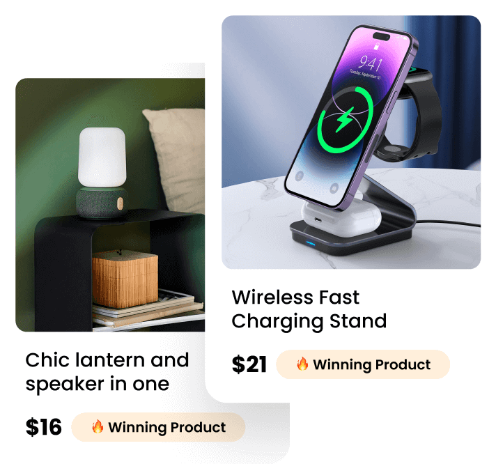 Winning product cards with prices, imported into the store